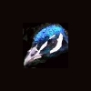 Thumbnail image of the head of a peacock