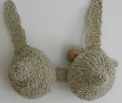 link to larger image - Breast Nest