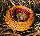 link to larger image - Jasper Nest - woven willow & red dogwood nest